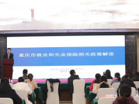 重庆人力资源和社会保障局招聘网,最新职位信息汇总发布