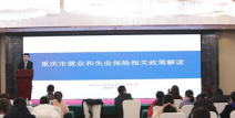 重庆人力资源和社会保障局招聘网,最新职位信息汇总发布